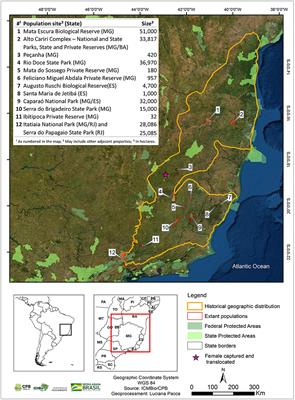 Science, Policy, and Conservation Management for a Critically Endangered Primate in the Atlantic Forest of Brazil